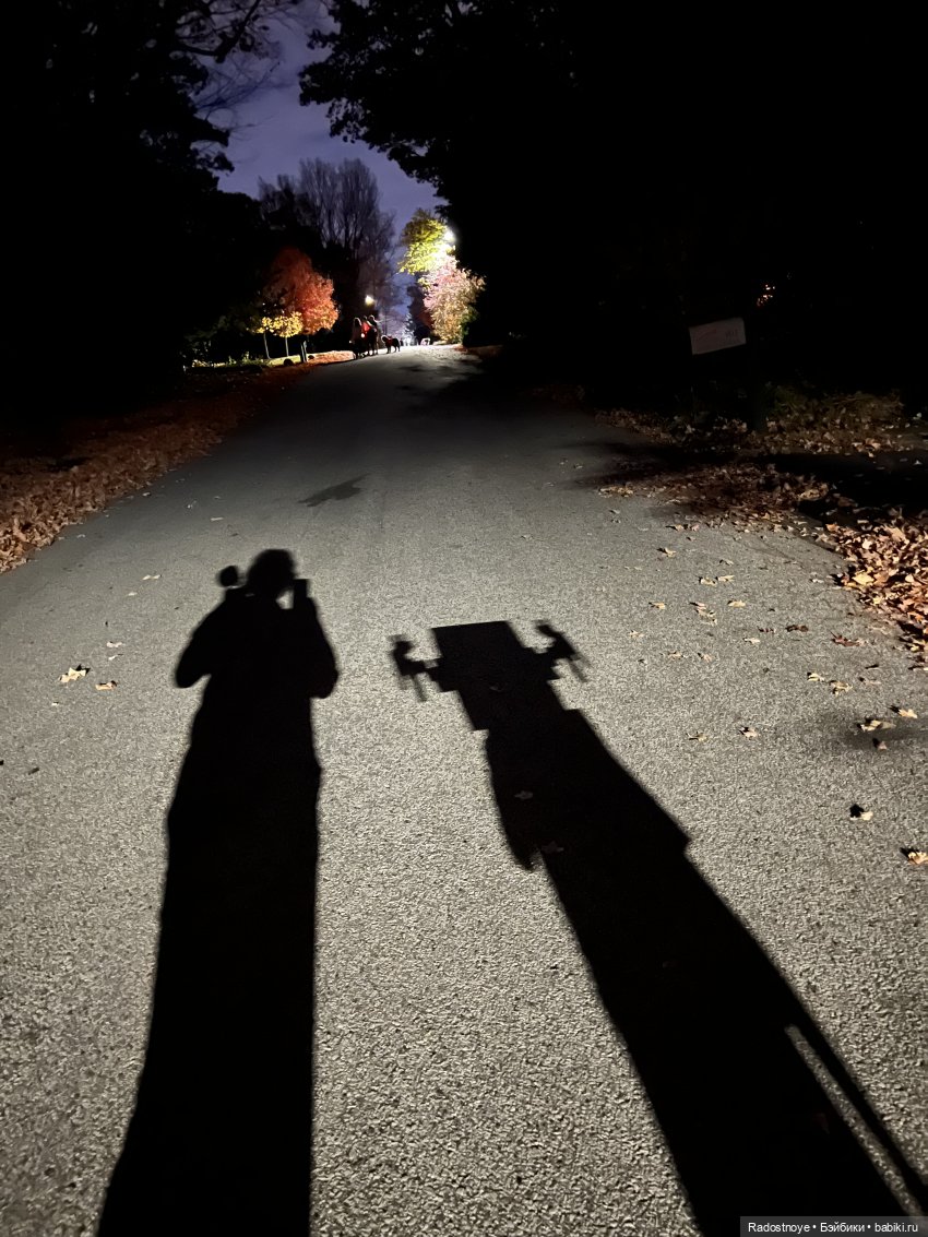 Праздник творчества и веселья