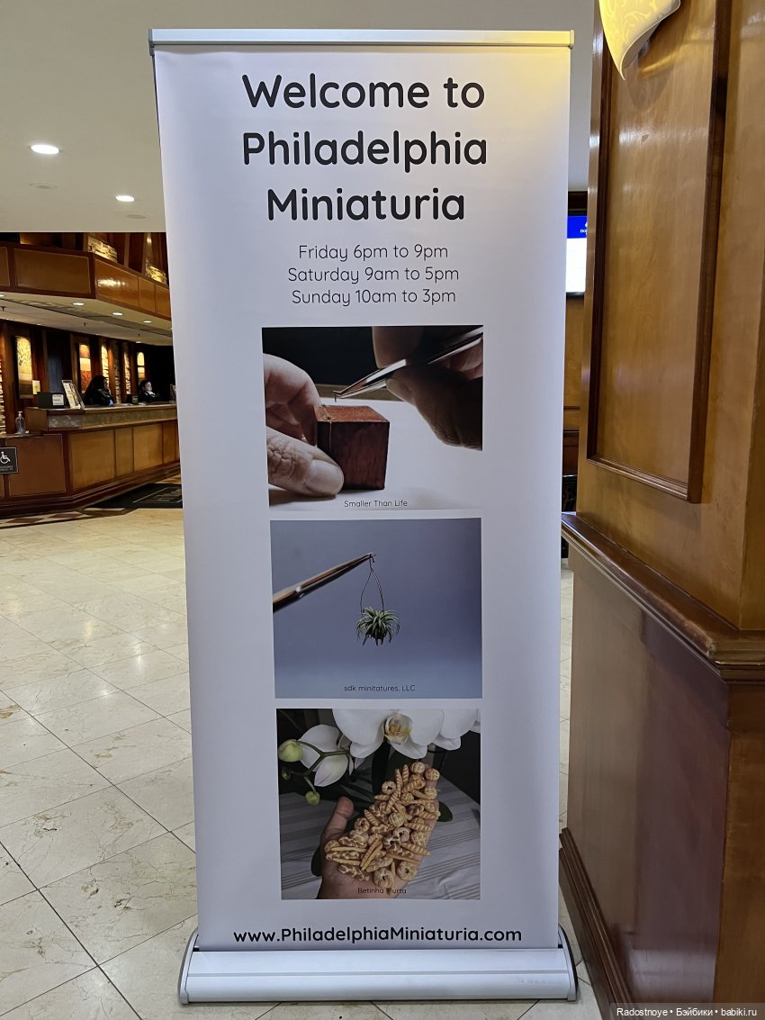 Филадельфийская Миниатюрия | Бэйбики Филадельфийская Миниатюрия (фото 2)