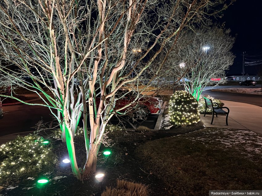 Ноэль — Куклы Zwergnase (Цвергназе/Цверги): фото (фото 3)