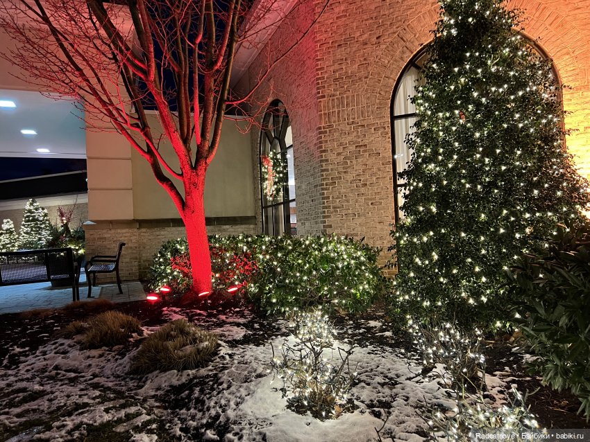 Ноэль — Куклы Zwergnase (Цвергназе/Цверги): фото (фото 4)