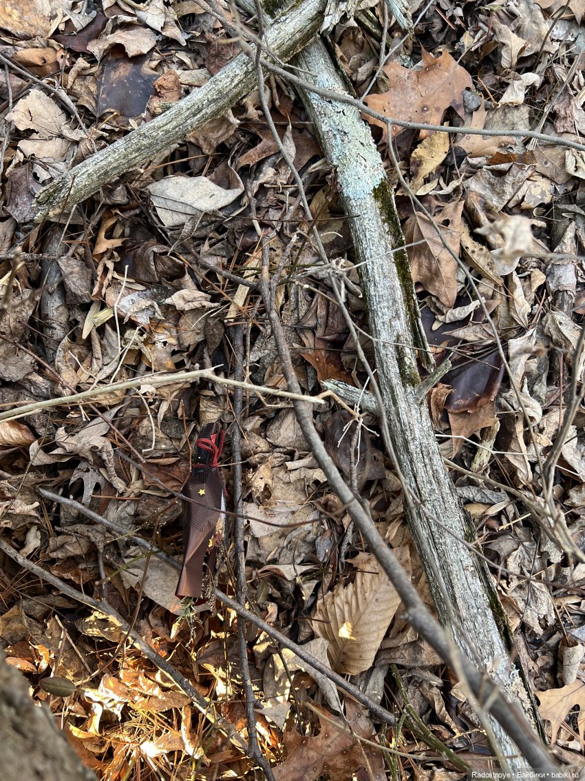 Потерянный букет — Куклы Ruby Red (Руби Ред) Fashion Friends: Siblies