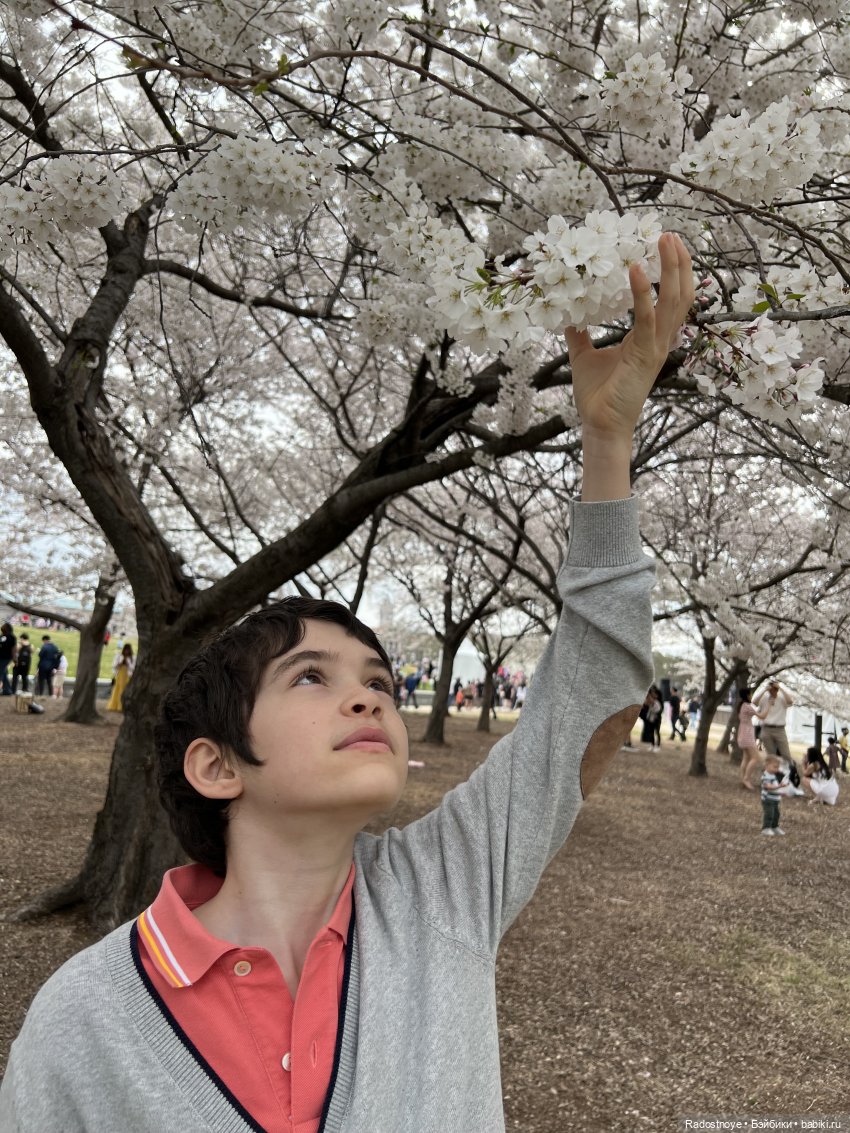 Сакура — Куклы Ruby Red (Руби Ред) Fashion Friends: Siblies