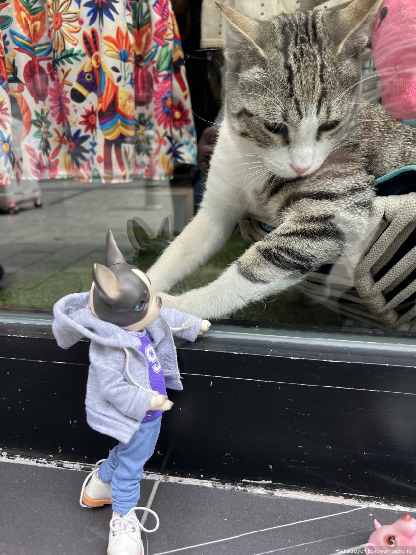 С любовью из Стамбула — Туризм и путешествия: фотоотчеты из поездок