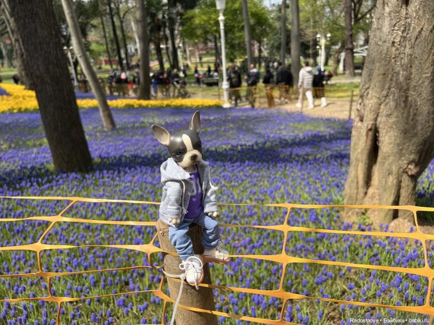 С любовью из Стамбула — Туризм и путешествия: фотоотчеты из поездок