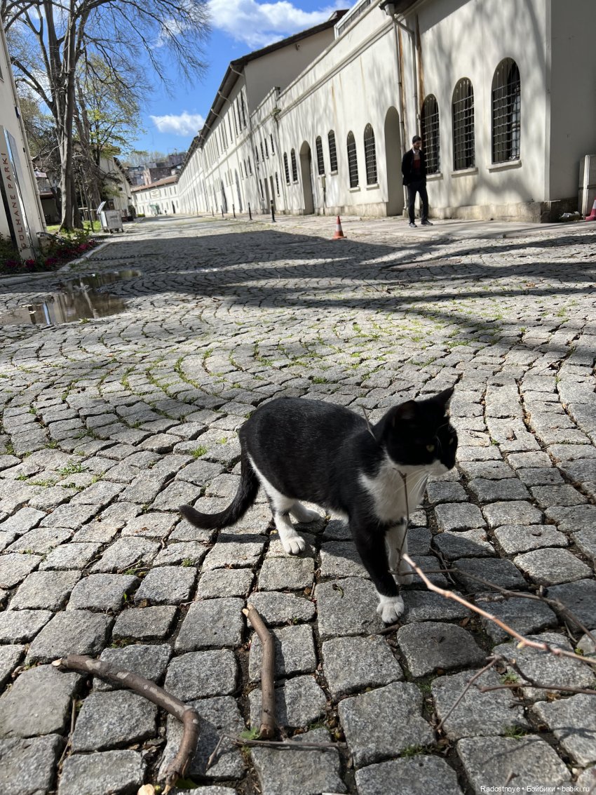 С любовью из Стамбула — Туризм и путешествия: фотоотчеты из поездок