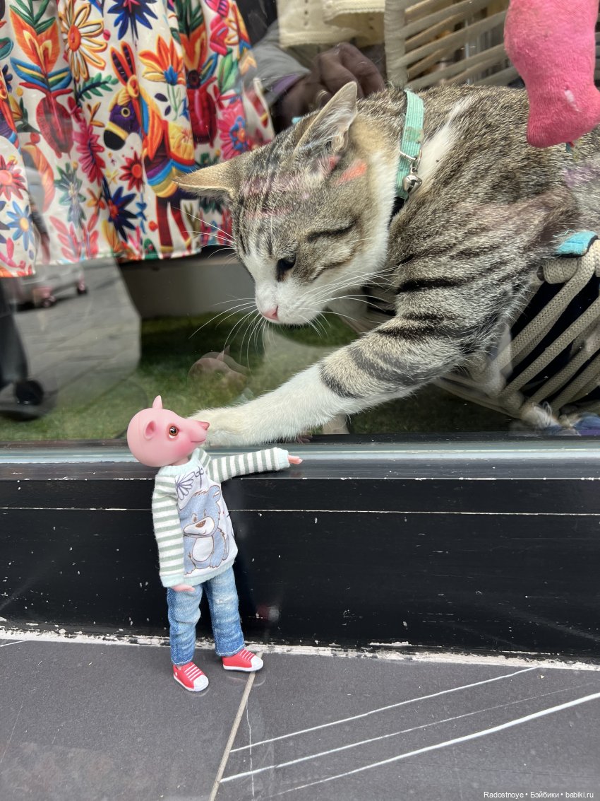 С любовью из Стамбула — Туризм и путешествия: фотоотчеты из поездок