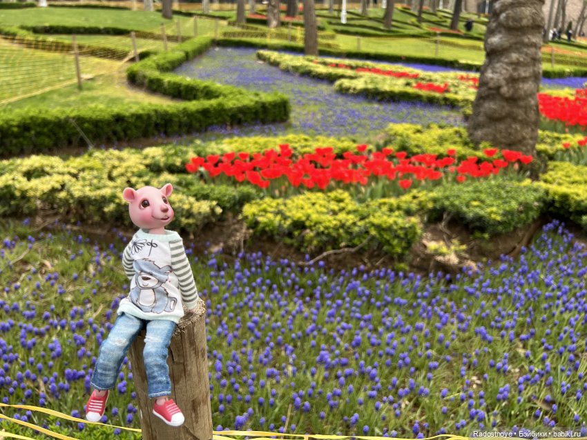 С любовью из Стамбула — Туризм и путешествия: фотоотчеты из поездок