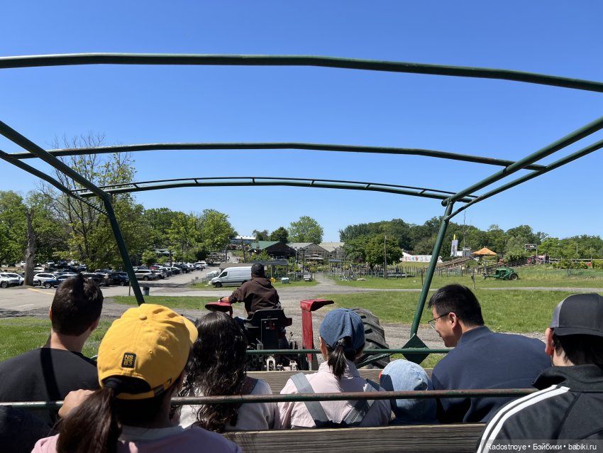 Первая клубника | Бэйбики Первая клубника — Куклы Ruby Red (Руби Ред) Fashion Friends: Siblies (фото 5)