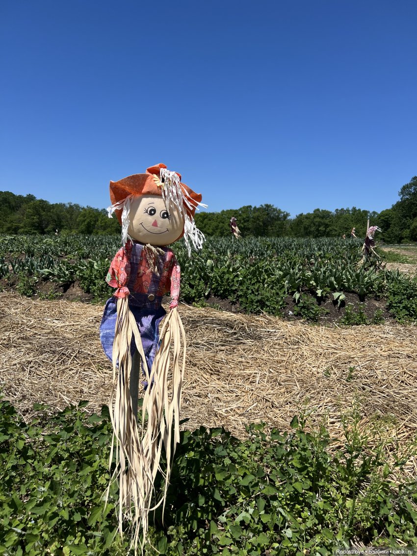 Первая клубника | Бэйбики Первая клубника — Куклы Ruby Red (Руби Ред) Fashion Friends: Siblies (фото 9)