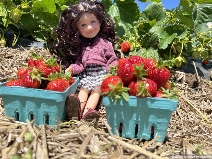 Первая клубника | Бэйбики Первая клубника — Куклы Ruby Red (Руби Ред) Fashion Friends: Siblies