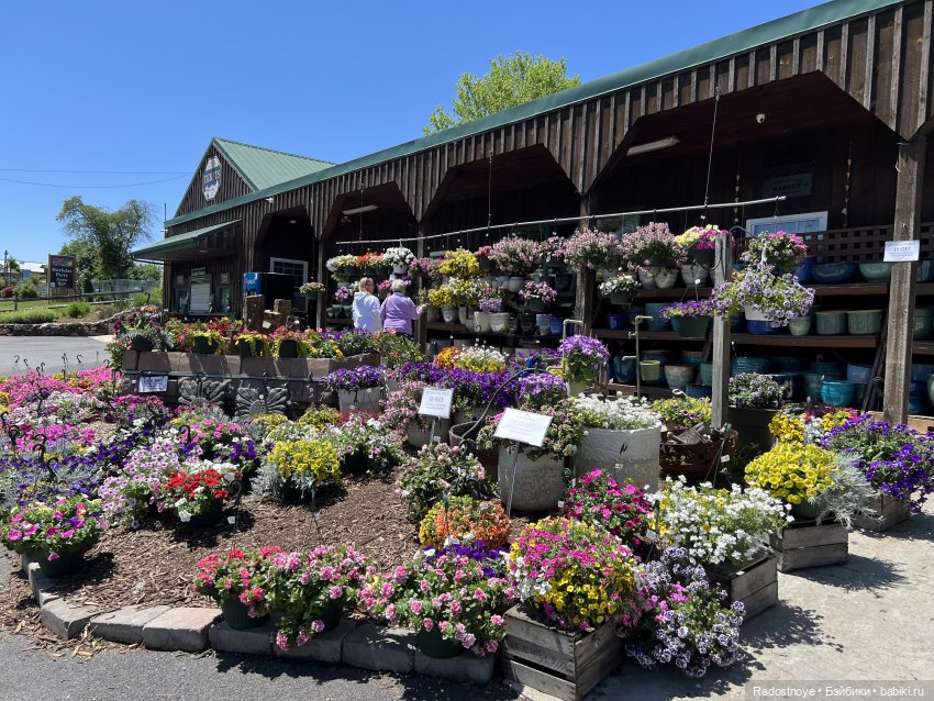 Первая клубника | Бэйбики Первая клубника — Куклы Ruby Red (Руби Ред) Fashion Friends: Siblies