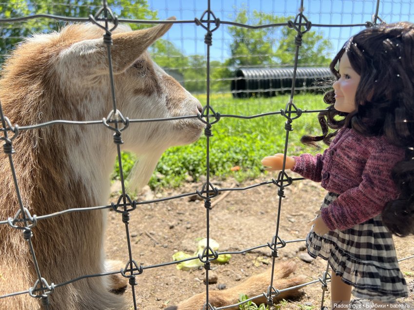 Первая клубника | Бэйбики Первая клубника — Куклы Ruby Red (Руби Ред) Fashion Friends: Siblies