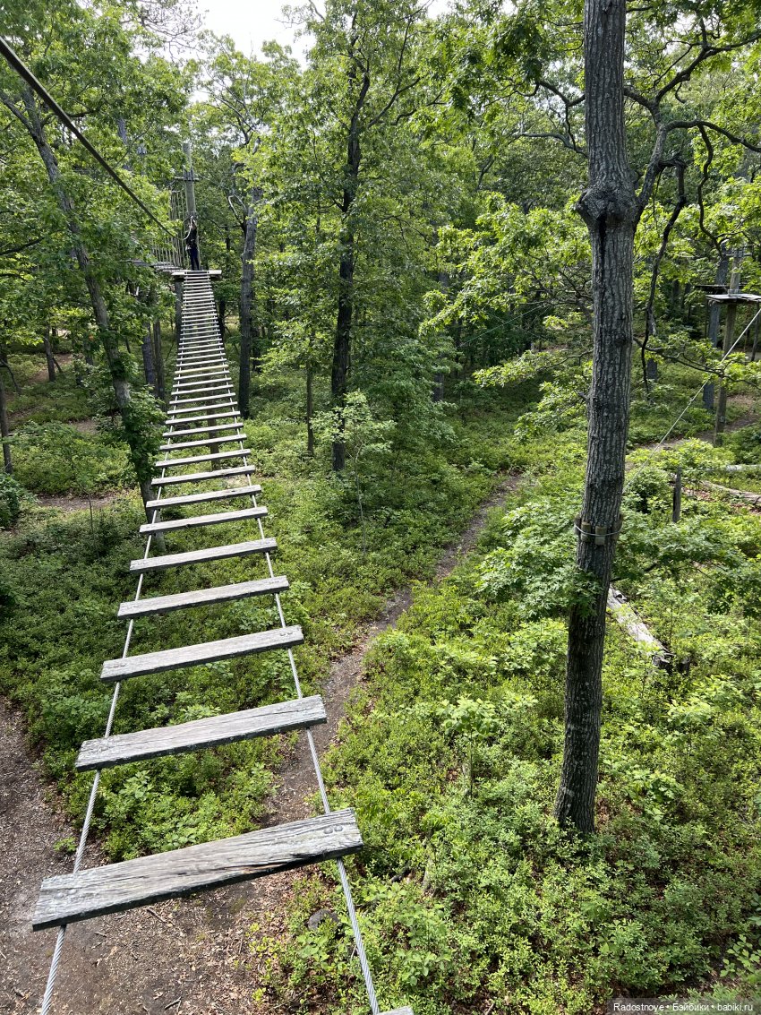 Зубастые персонажи «Властелина колец»