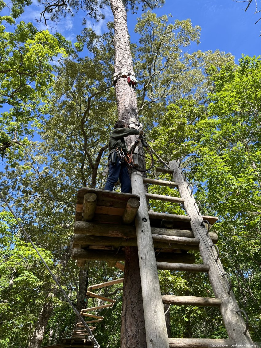Зубастые персонажи «Властелина колец»