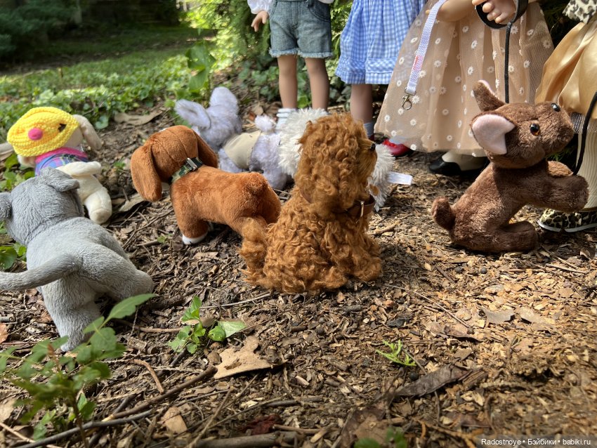 Метаморфозы — Интересные игрушки и фигурки (разное): редкие (фото 8)