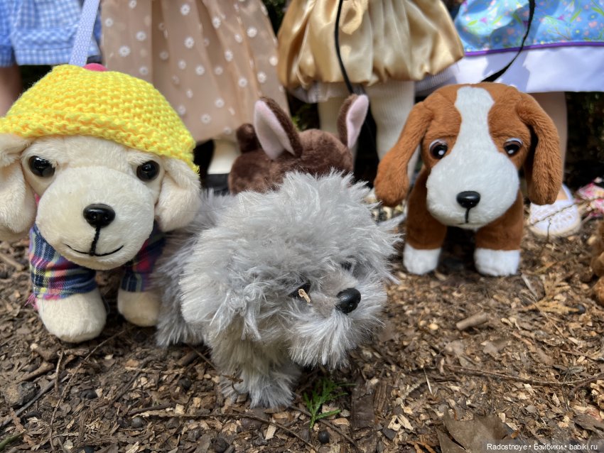 Метаморфозы — Интересные игрушки и фигурки (разное): редкие (фото 4)