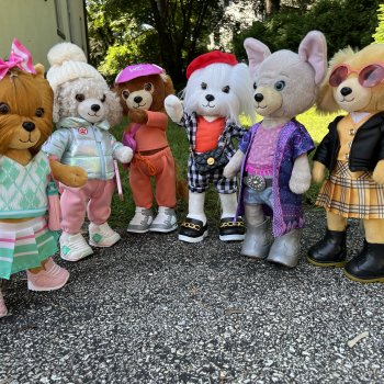 Метаморфозы