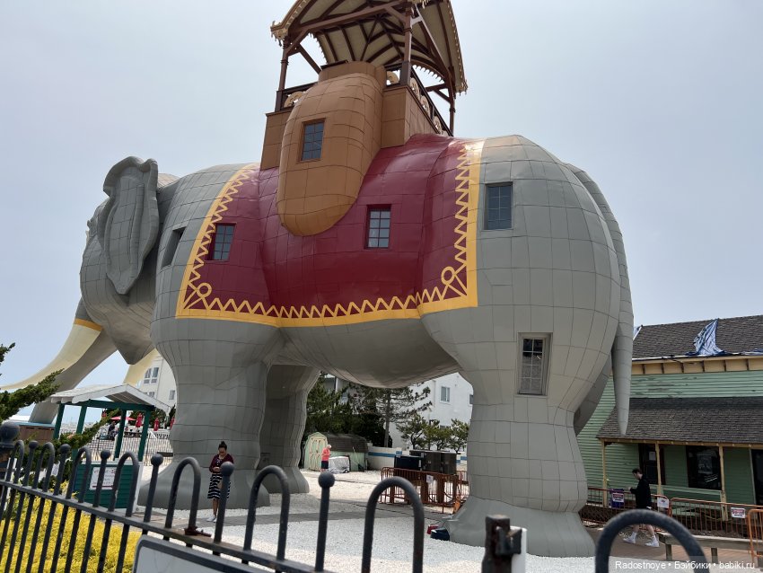 Джеймс и Люси — Куклы Momoko и Ruruko (Petworks (фото 3)