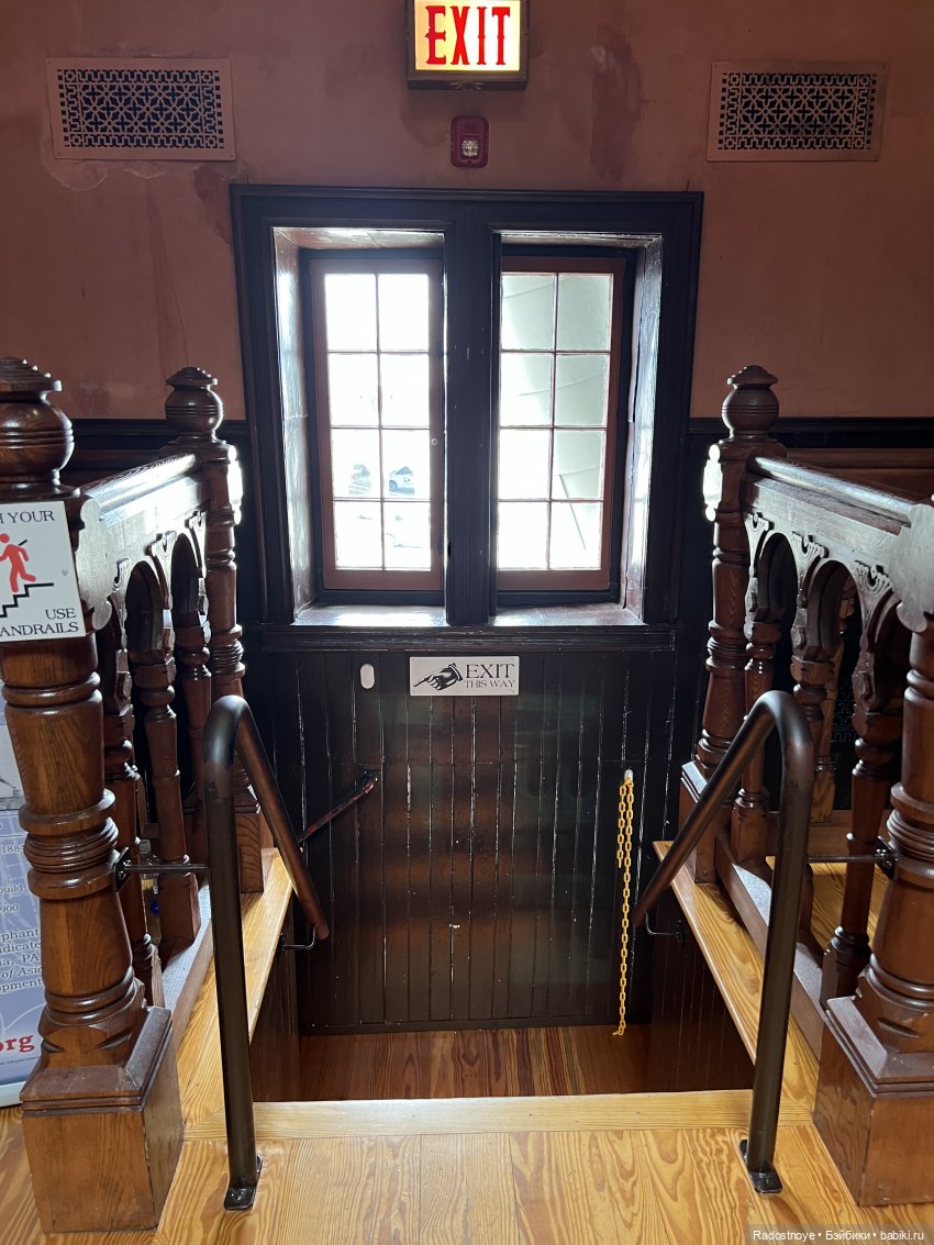 Джеймс и Люси — Куклы Momoko и Ruruko (Petworks (фото 7)