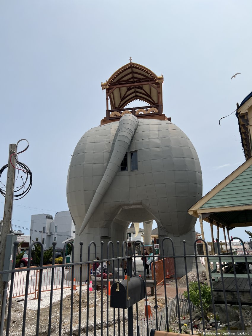 Джеймс и Люси — Куклы Momoko и Ruruko (Petworks