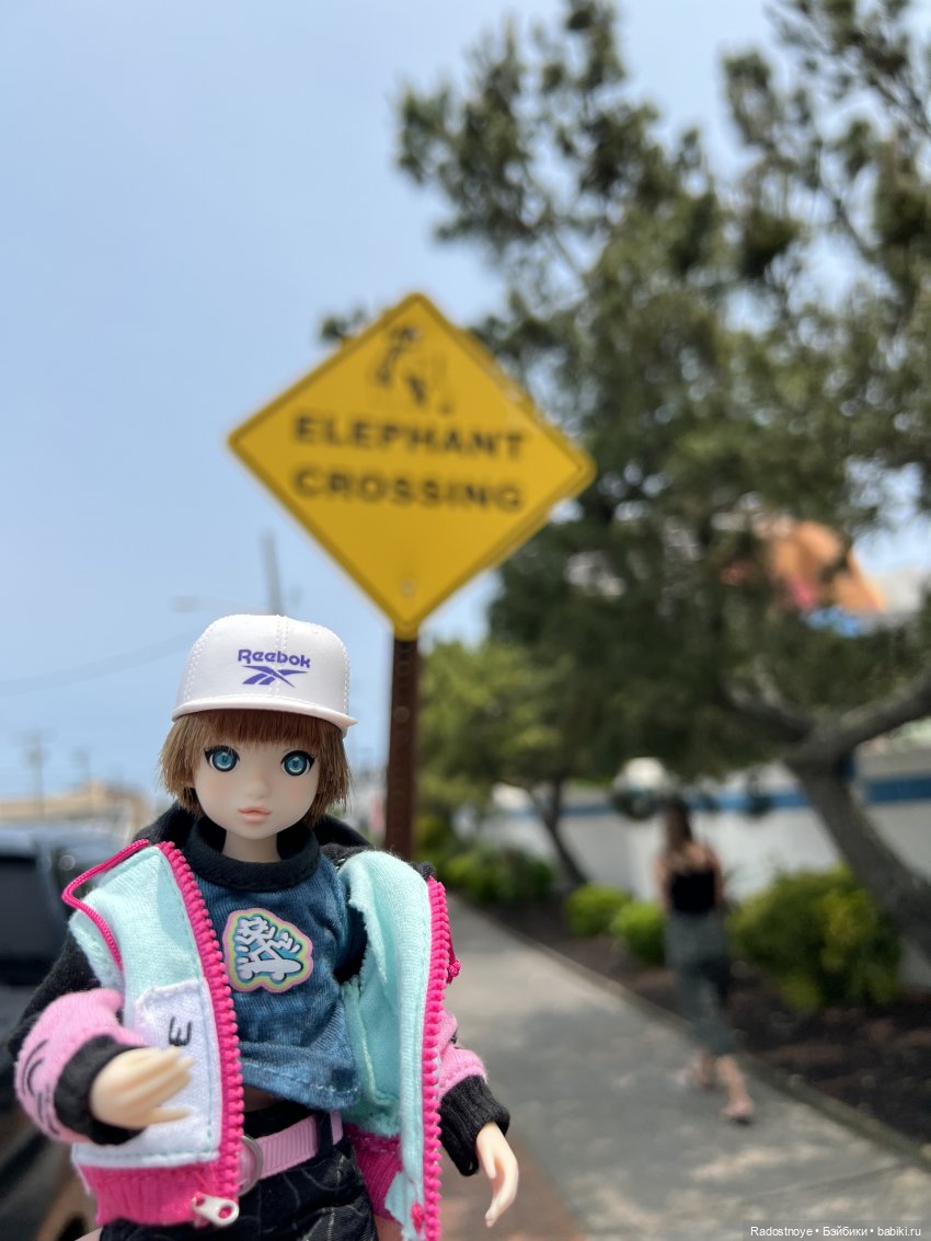 Джеймс и Люси — Куклы Momoko и Ruruko (Petworks