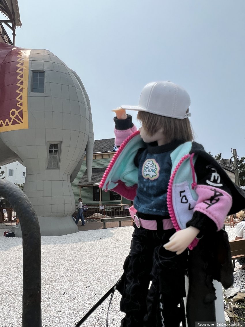 Джеймс и Люси — Куклы Momoko и Ruruko (Petworks (фото 4)