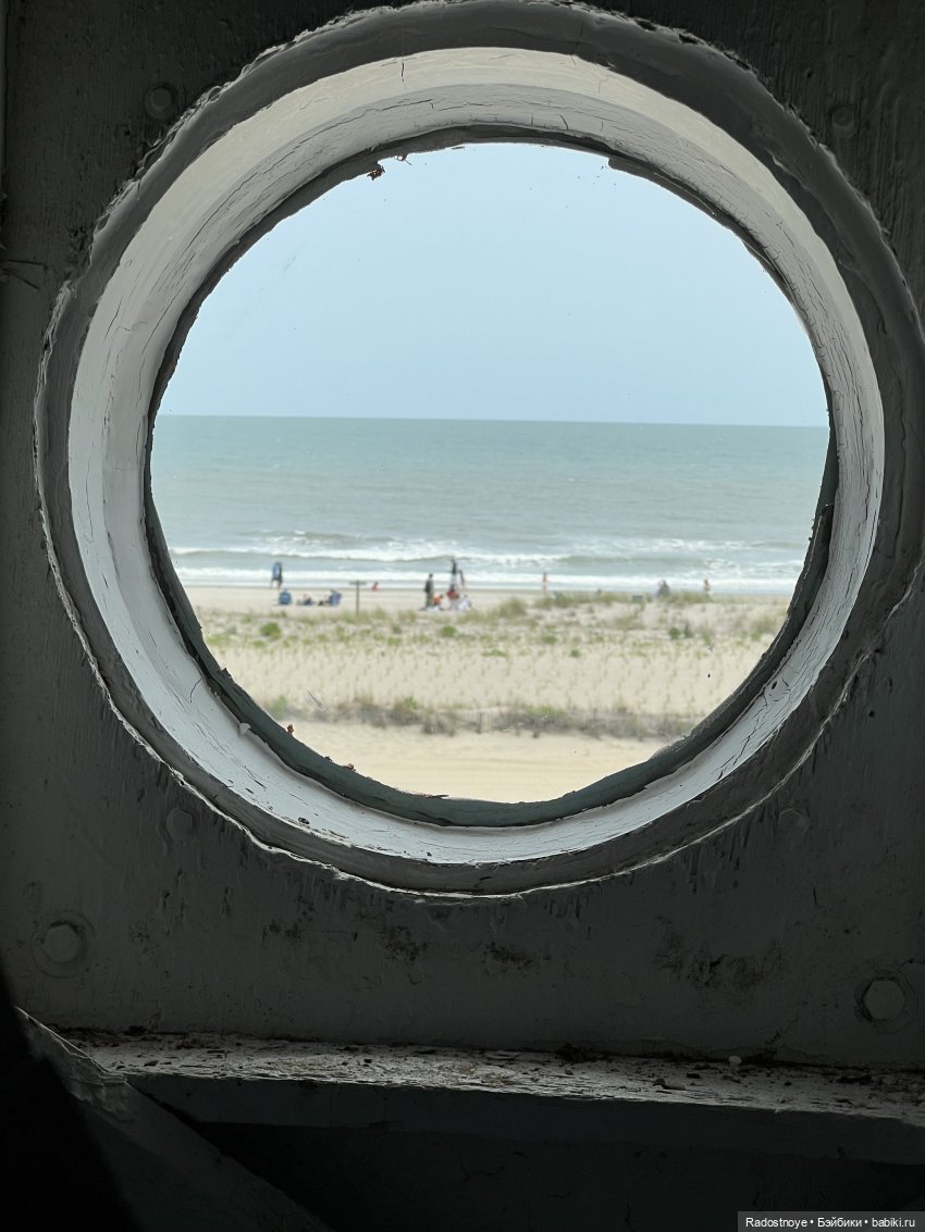 Джеймс и Люси — Куклы Momoko и Ruruko (Petworks