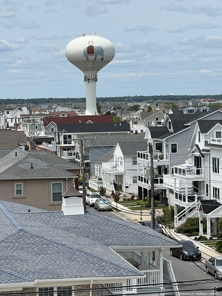 Джеймс и Люси — Куклы Momoko и Ruruko (Petworks