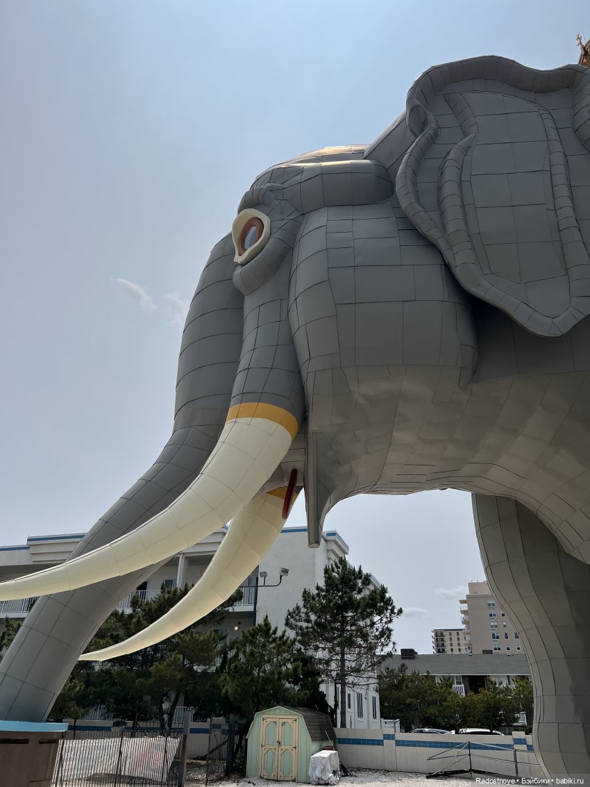 Джеймс и Люси — Куклы Momoko и Ruruko (Petworks (фото 9)