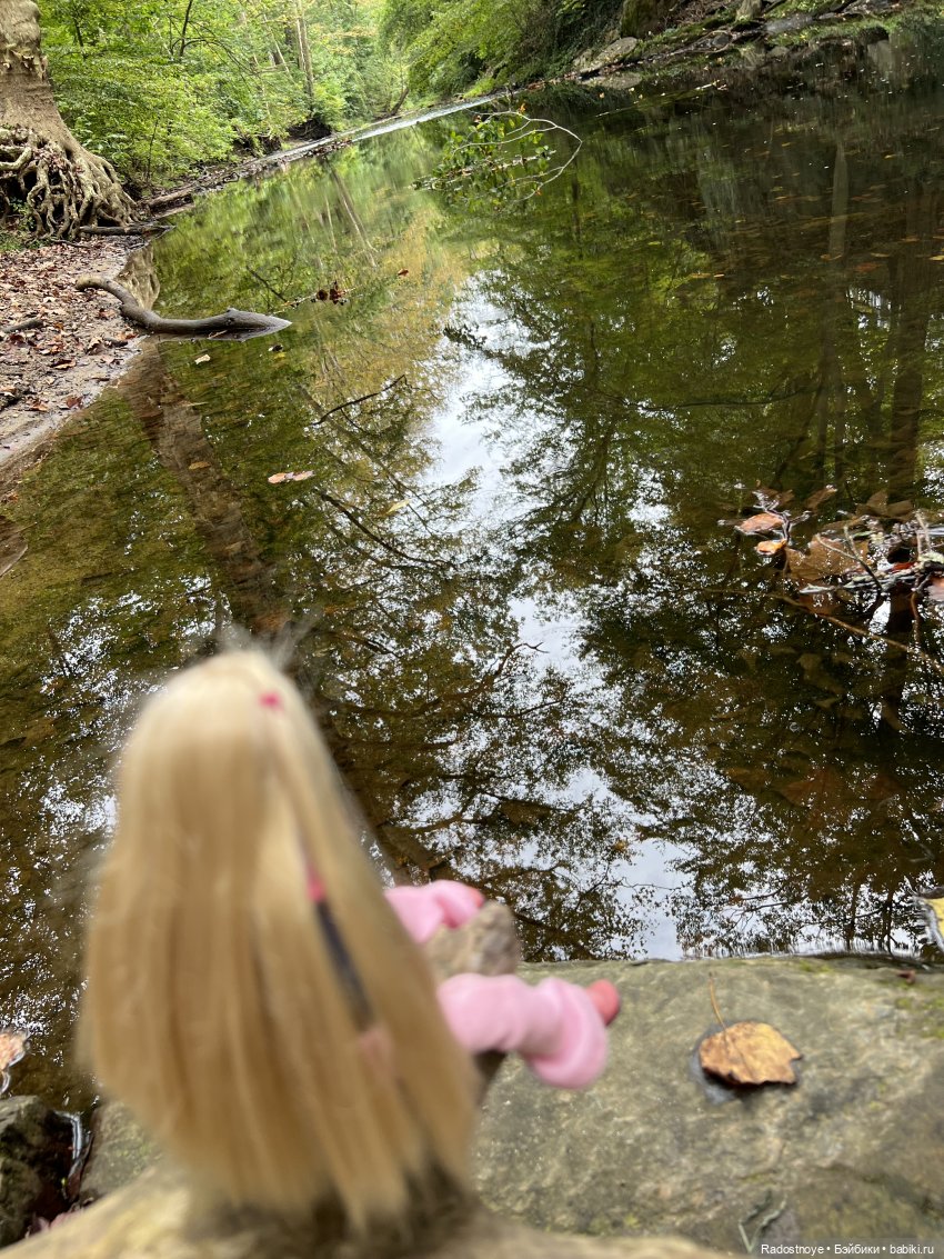 Хартсинка Соня вырвалась погулять | Бэйбики Хартсинка Соня вырвалась погулять