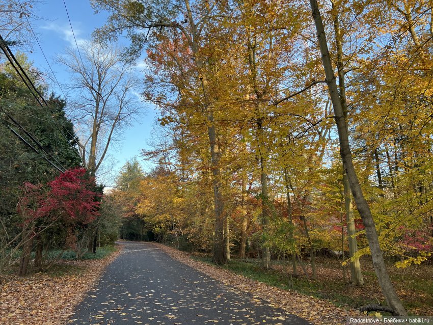 Так и тянет окунуться в старину и не только (фото 6)