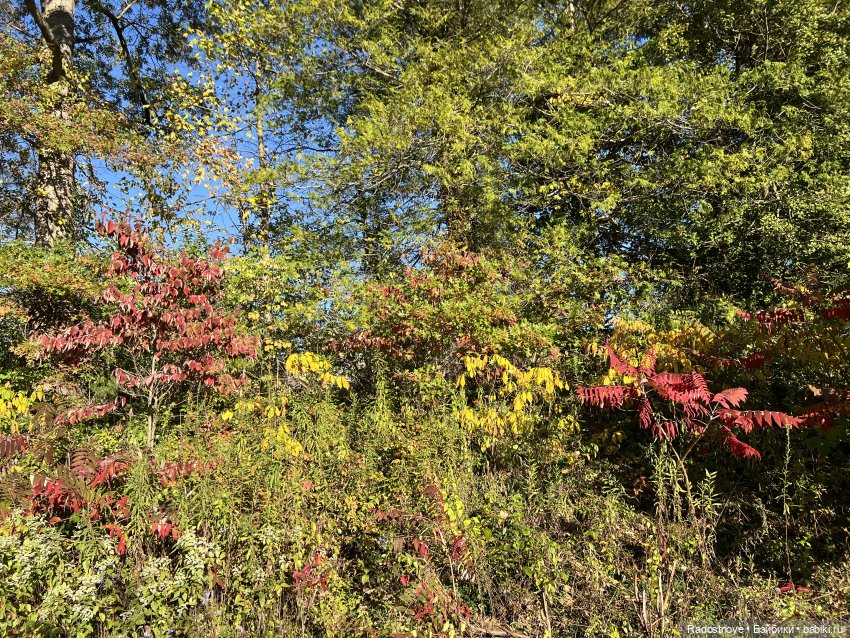 Так и тянет окунуться в старину и не только
