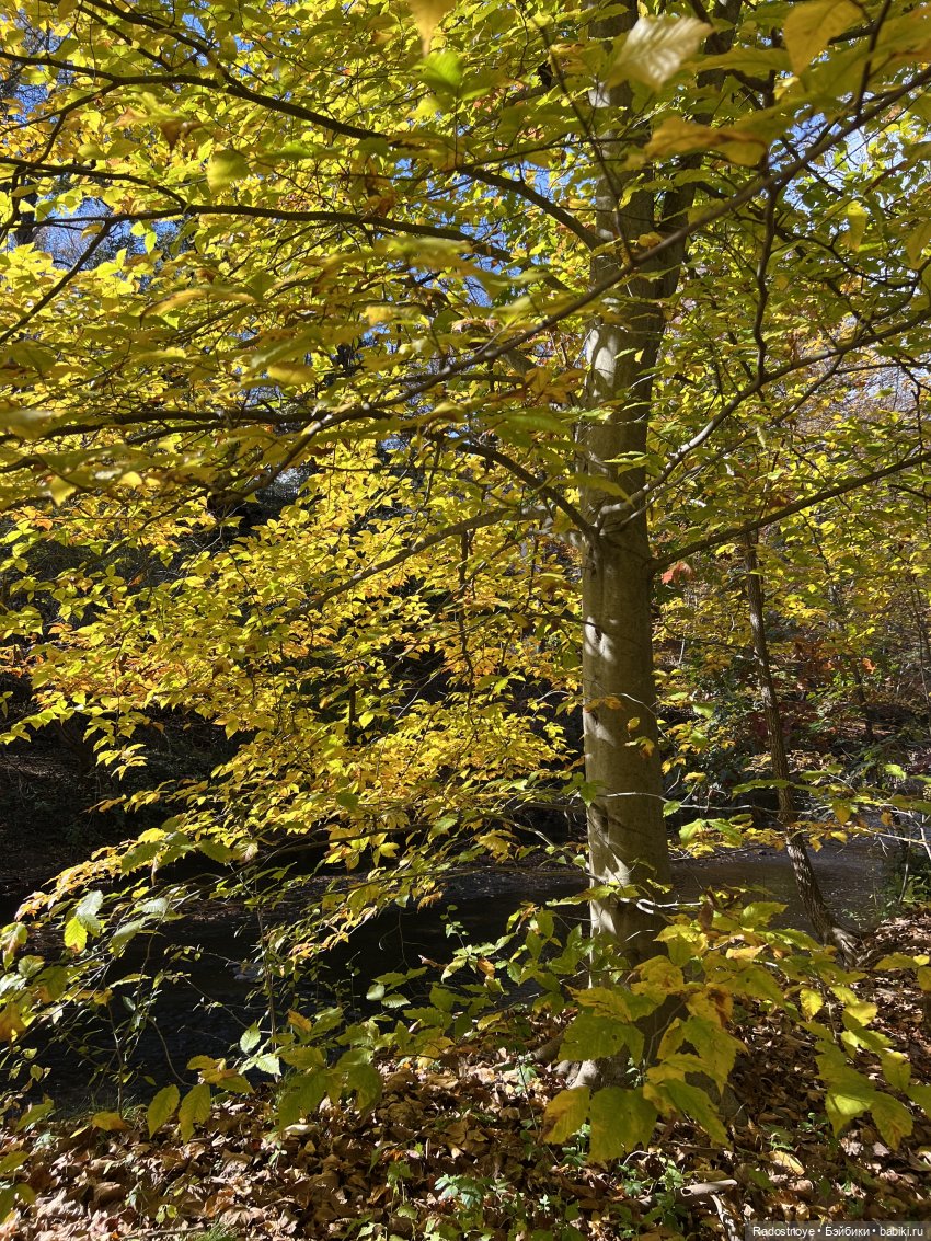 Так и тянет окунуться в старину и не только (фото 2)