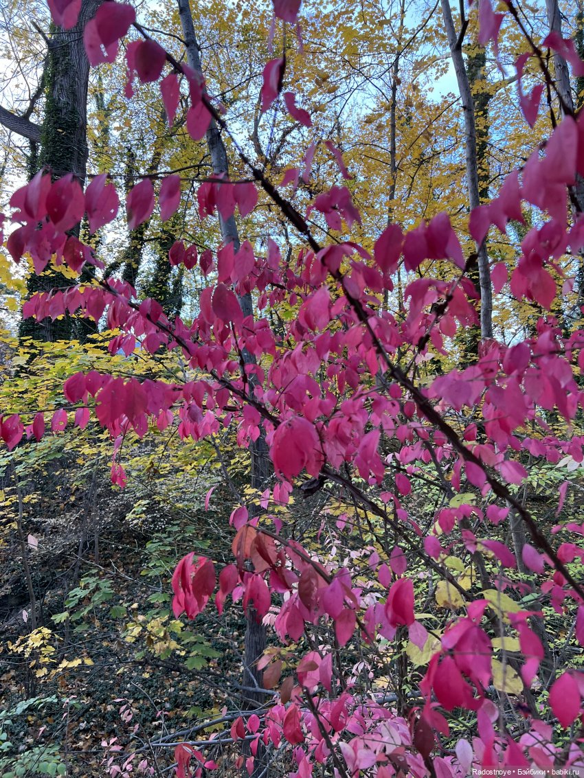 Так и тянет окунуться в старину и не только (фото 3)