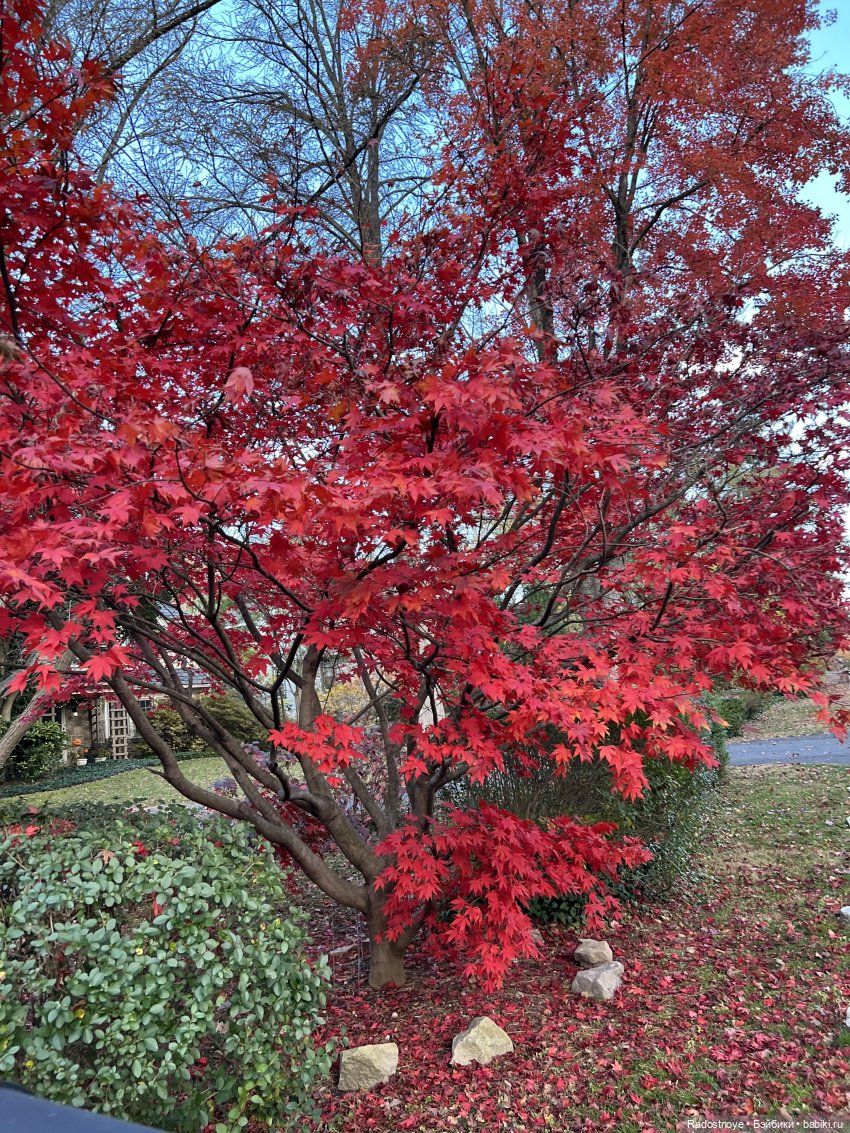 Так и тянет окунуться в старину и не только (фото 4)