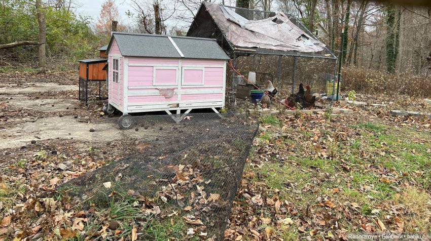 Анжела и Селеста — Куклы LeeAnn (Denis Bastien) и Marianna Oldenburg: винил (фото 7)