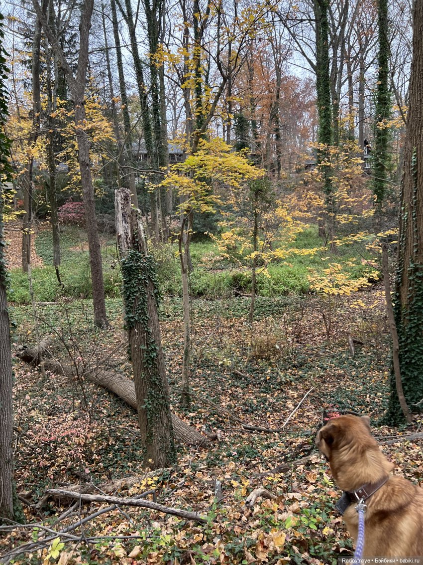 Анжела и Селеста — Куклы LeeAnn (Denis Bastien) и Marianna Oldenburg: винил