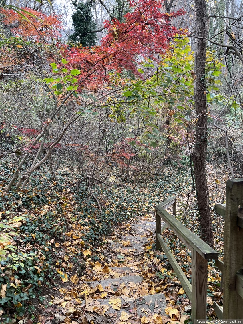 Анжела и Селеста — Куклы LeeAnn (Denis Bastien) и Marianna Oldenburg: винил