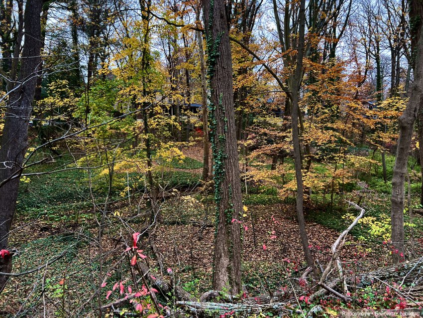 Анжела и Селеста — Куклы LeeAnn (Denis Bastien) и Marianna Oldenburg: винил