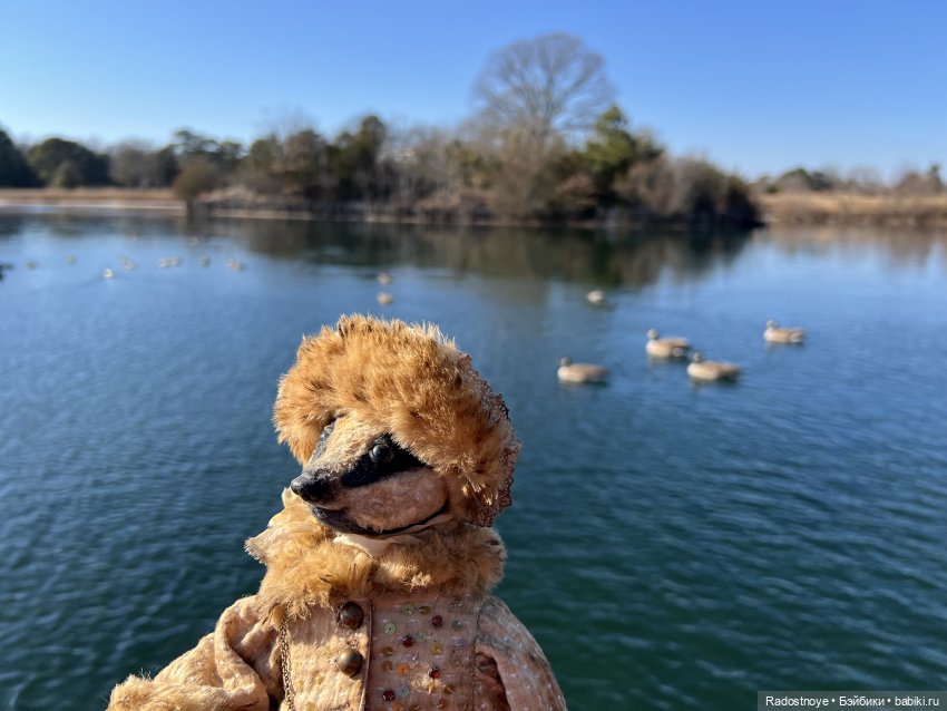 Сказочные тедди звери — Авторские мишки Тедди и друзья: фото