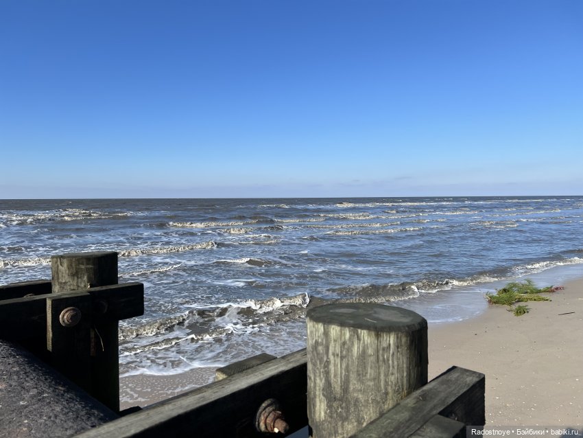 Сказочные тедди звери — Авторские мишки Тедди и друзья: фото