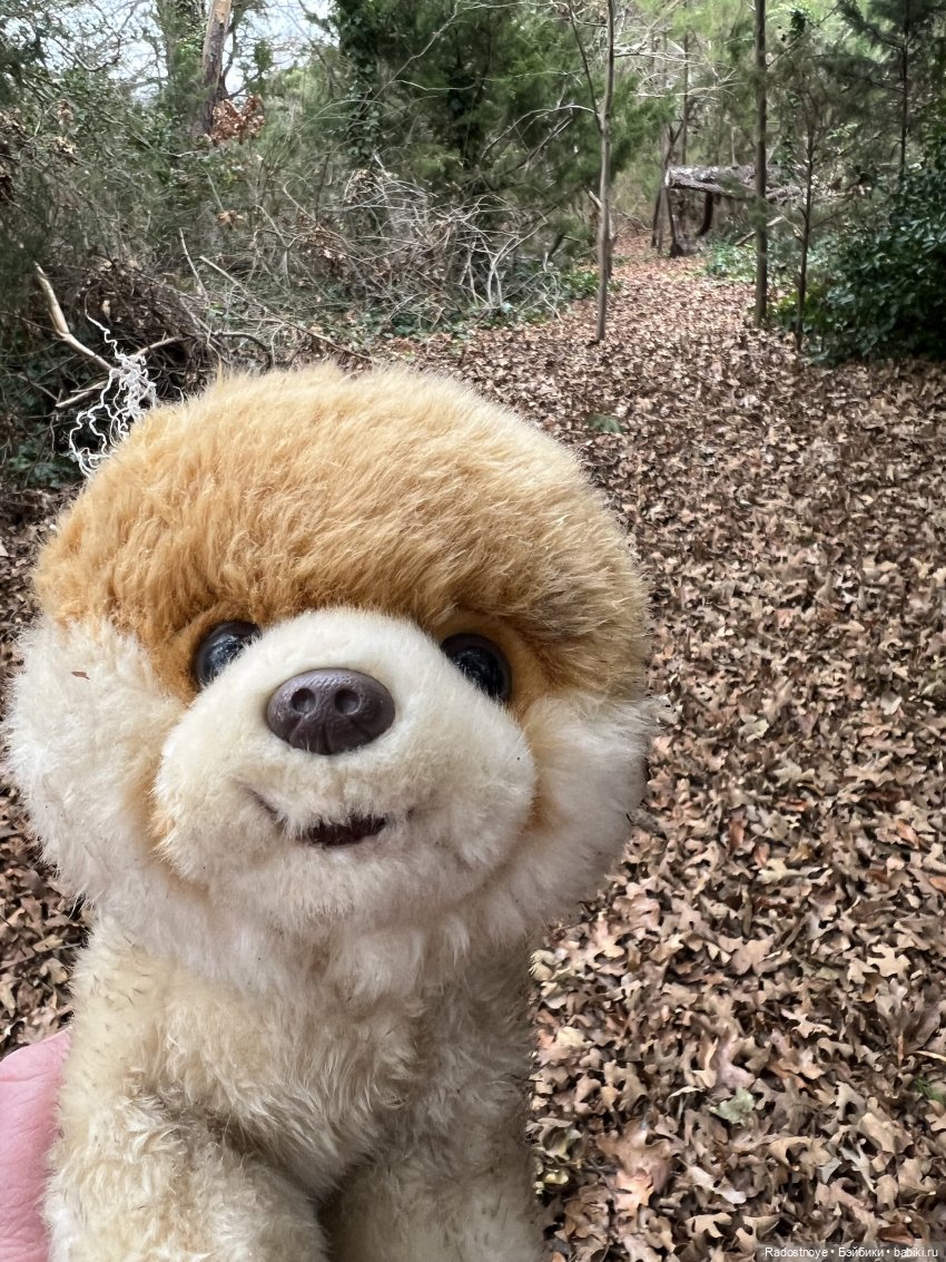 Сказочные тедди звери — Авторские мишки Тедди и друзья: фото