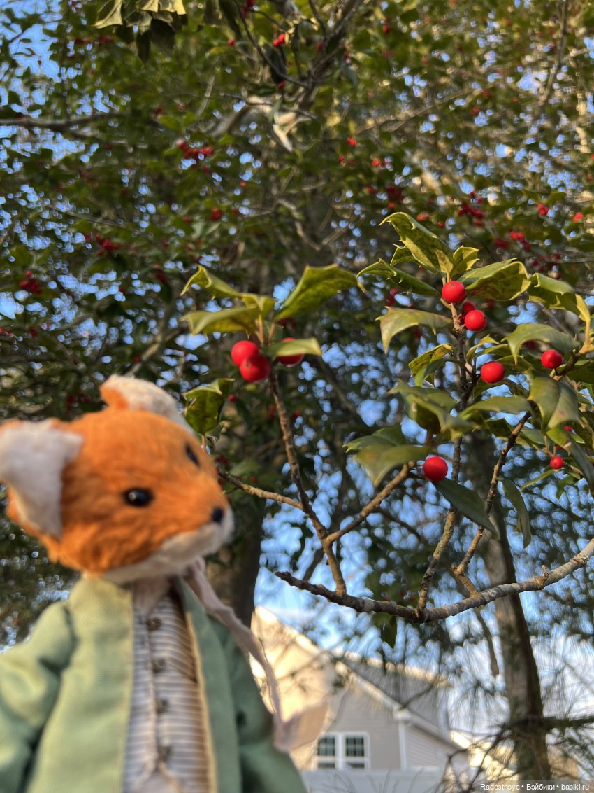 Сказочные тедди звери — Авторские мишки Тедди и друзья: фото