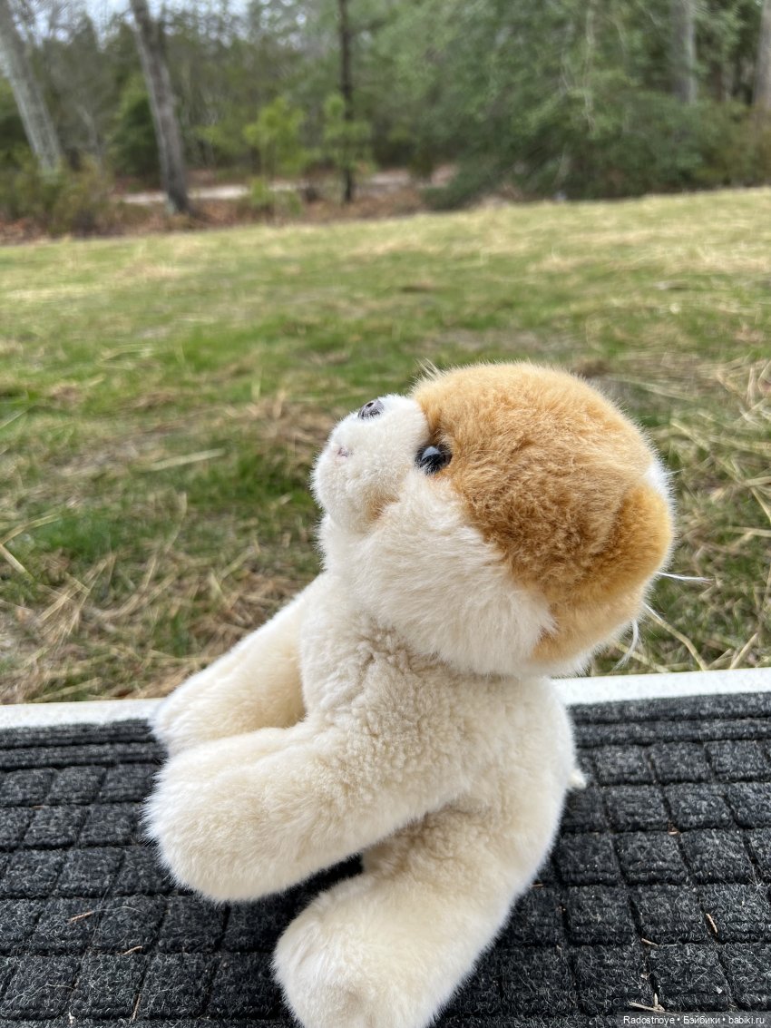 Сказочные тедди звери — Авторские мишки Тедди и друзья: фото