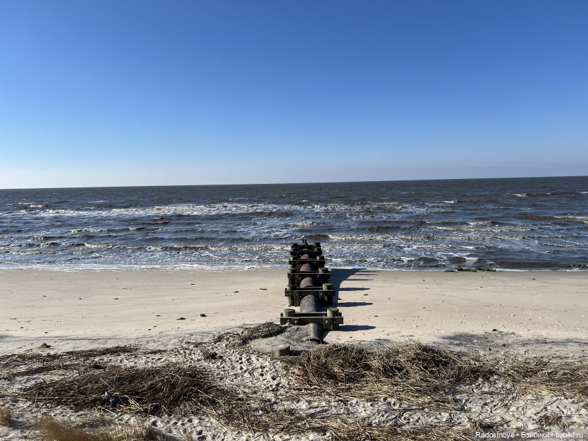 Сказочные тедди звери — Авторские мишки Тедди и друзья: фото