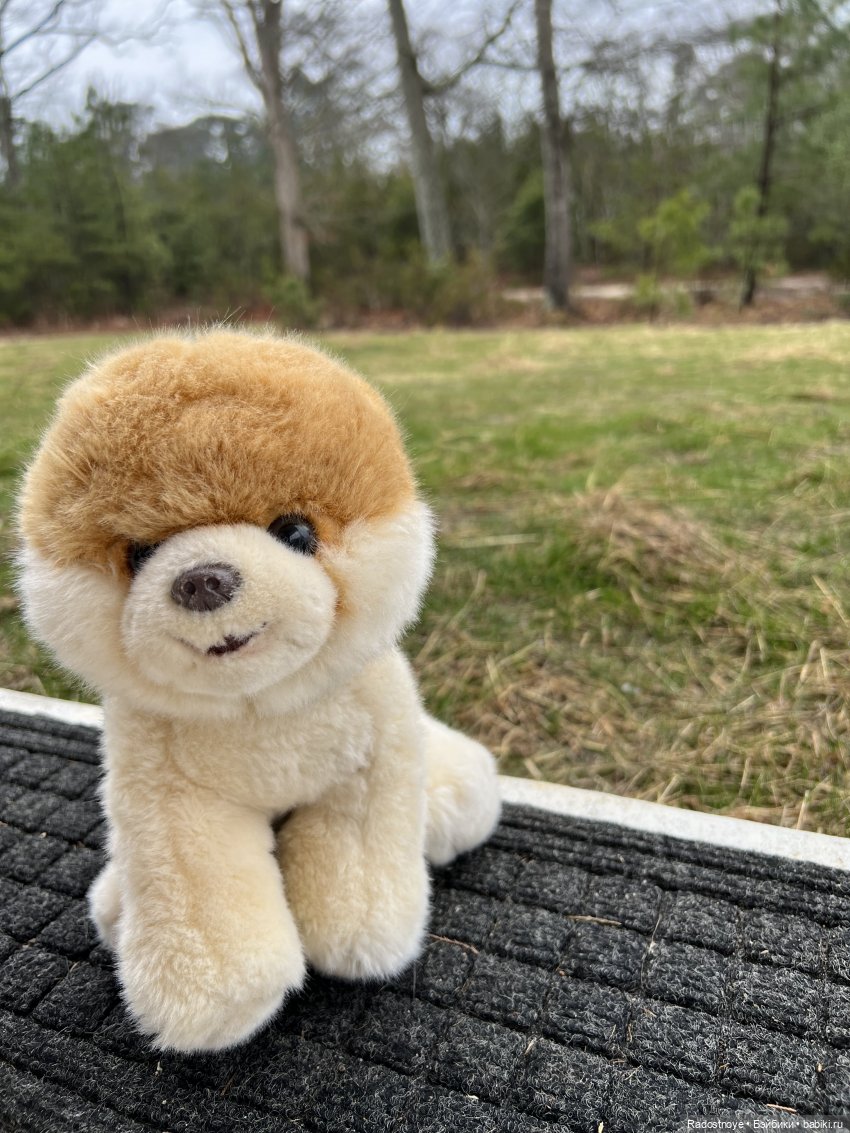 Сказочные тедди звери — Авторские мишки Тедди и друзья: фото