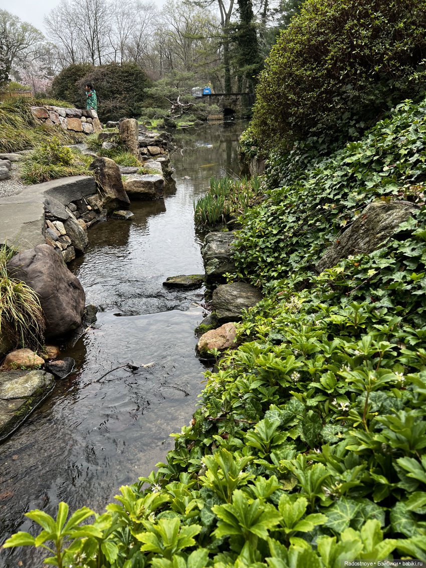 Цветение сакуры и посещение японского дома в Филадельфии (фото 10)