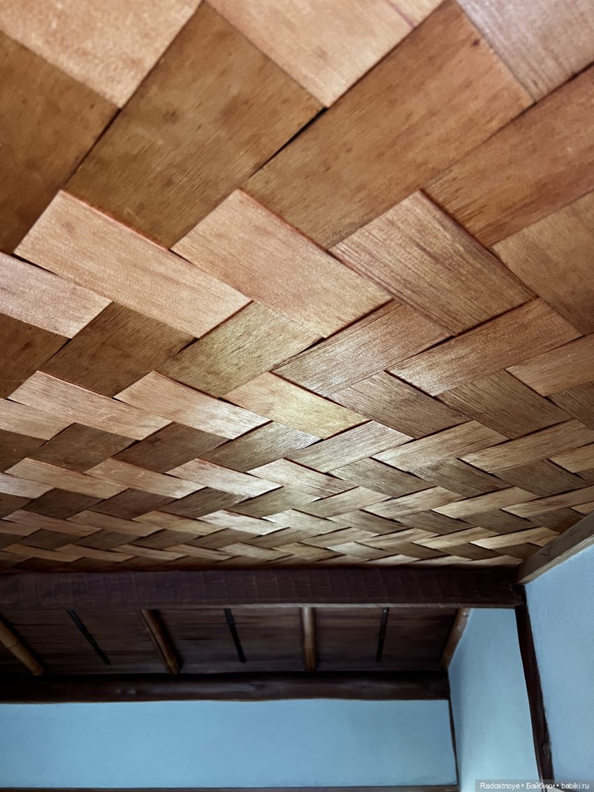 Цветение сакуры и посещение японского дома в Филадельфии