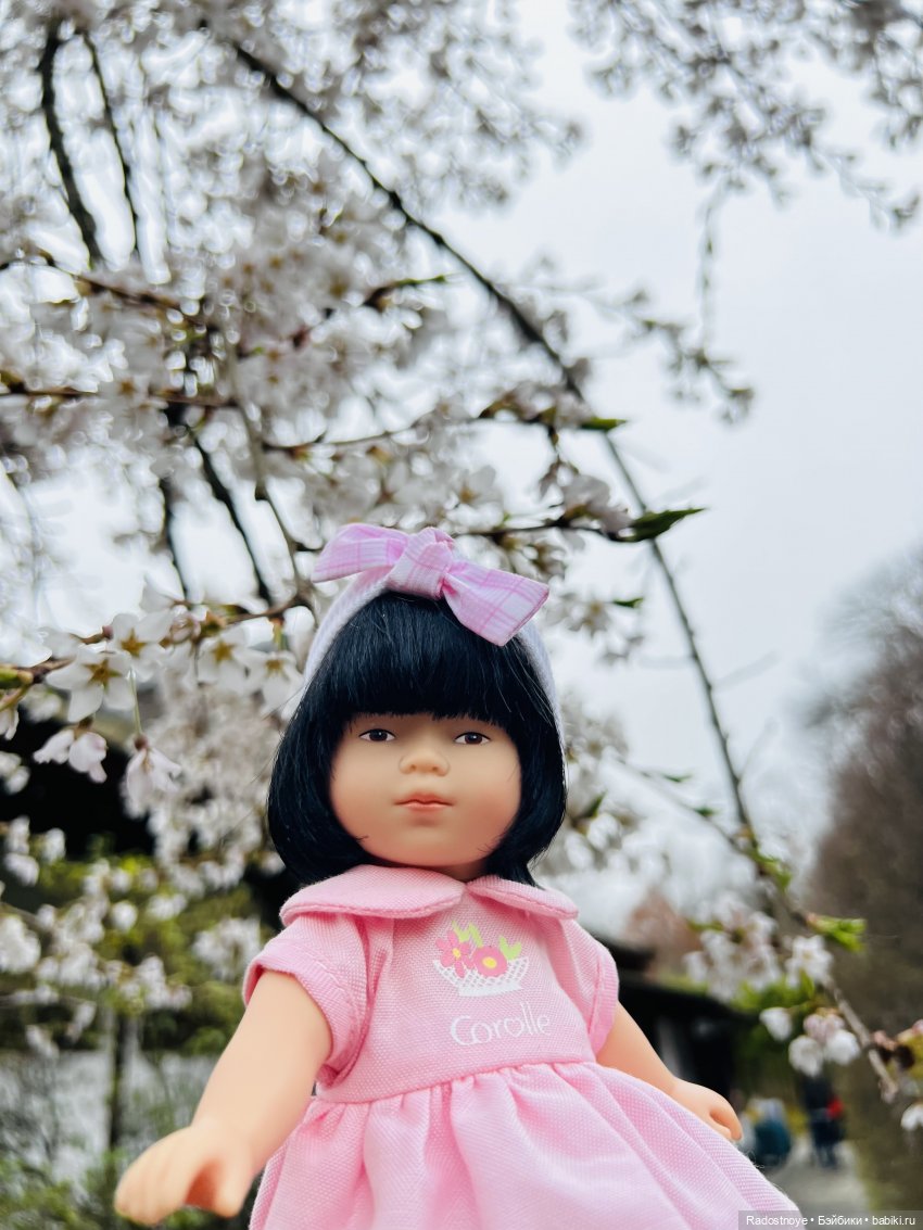 Цветение сакуры и посещение японского дома в Филадельфии