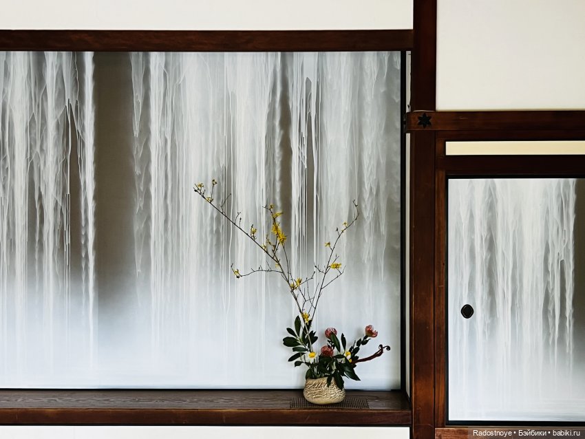 Цветение сакуры и посещение японского дома в Филадельфии